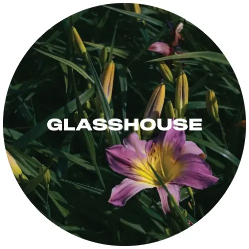 Glasshouse Beer Co Daylily