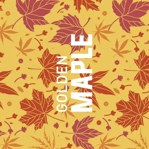 Counterpart Brewing Golden Maple