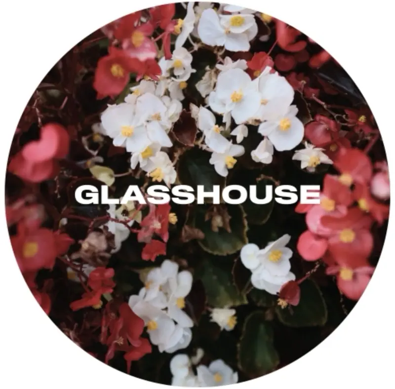 Glasshouse Beer Co Begonia
