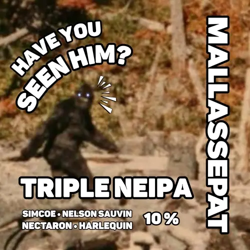 Mallassepät Have You Seen Him?
