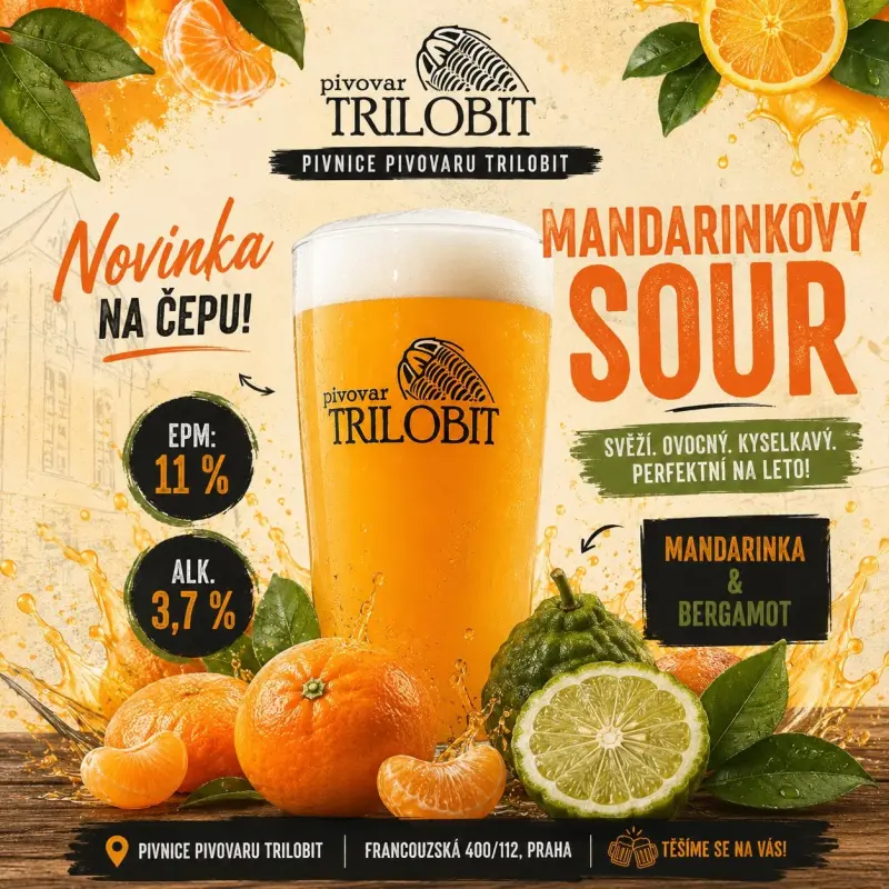 Trilobit Mandarinkový Sour