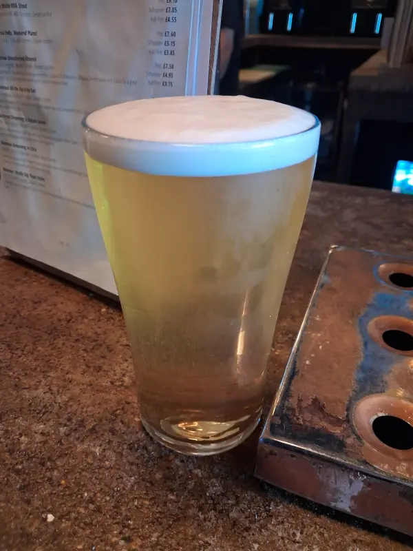 Distortion Brewery Drowning in Citra