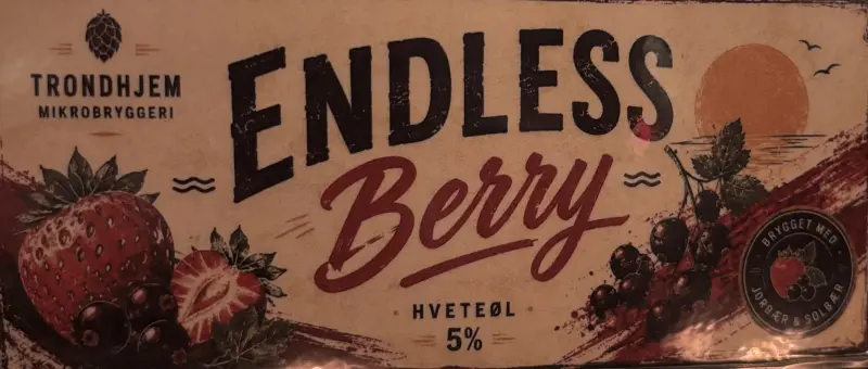 Trondhjem Mikrobryggeri Endless Berry
