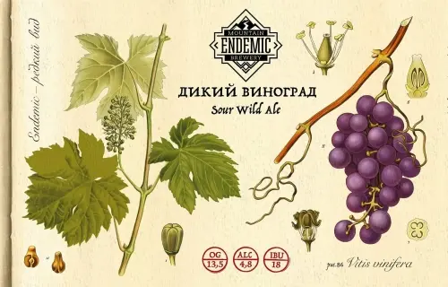 Endemic Mountain Brewery Diky Vinograd (Дикий Виноград)