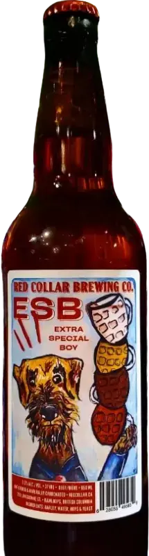 Red Collar Brewing Company Extra Special Boy