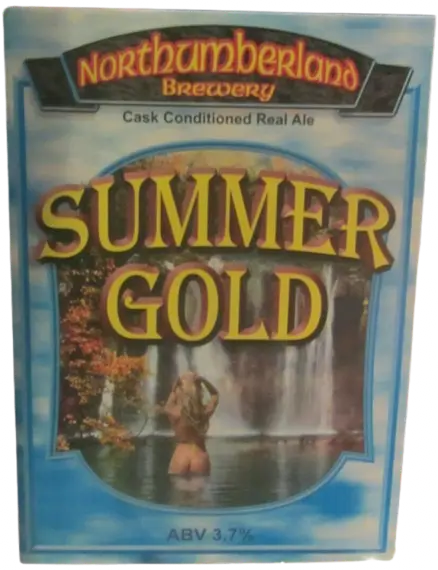 North Blyth Northumberland - Summer Gold
