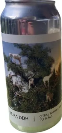 Popihn NEIPA DDH - Citra / Idaho7 / HBC 586