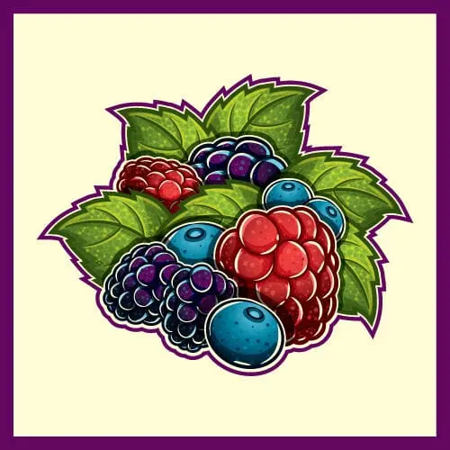 Nova Runda Fruit Expo: Berry Harvest