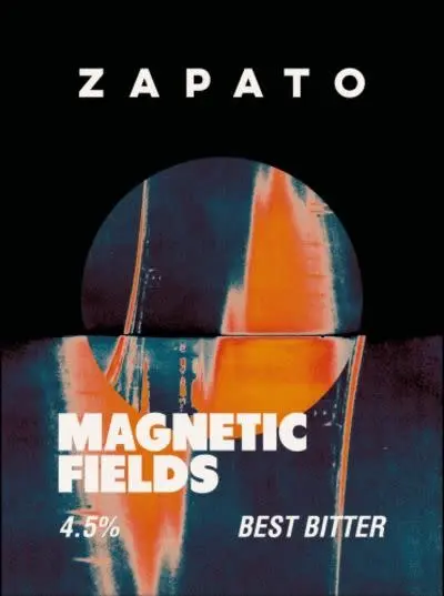 Zapato Brewery Magnetic Fields