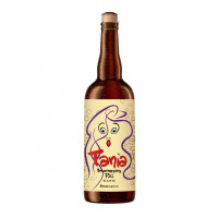 Jopen Stripbier 2016 Tania (Hanco Kolk)