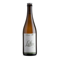 Side Project Brewing Lattice