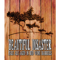 Odd Side Ales Beautiful Disaster