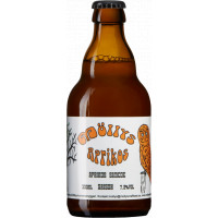 Möllys Bryggeri Aprikos