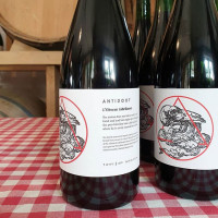 Antidoot Wilde Fermenten L'Obscur - Abrikoos