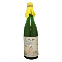 OWA Brewery Yuzu Lambic