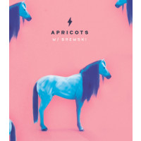 Garage Beer Co Apricots