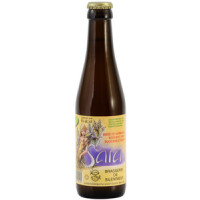 Brasserie de Silenrieux Sara Brune (Biologique)