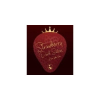 Hyouko Yashiki No Mori Brewery (Swan Lake) Strawberry Dark Saison