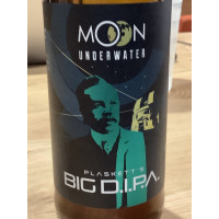 Moon Under Water Brewery Plaskett's Big DIPA