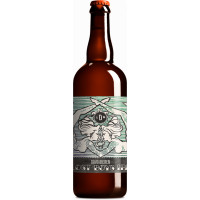 DAVO Bieren Lost Boys IPA