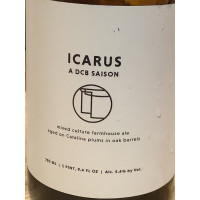 Dirty Couch Brewing Icarus
