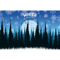 Vitamin Sea Brewing Winter
