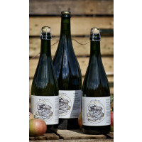 Antidoot Wilde Fermenten Na De Val