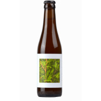 O/O Brewing Evergreen
