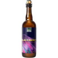 Upland Brewing Company Blackberry