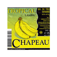 Brouwerij De Troch Chapeau Tropical