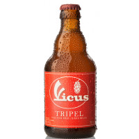 Het Vicus Genotschap Vicus Tripel