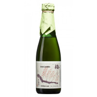 OWA Brewery Ume Lambic (2013)