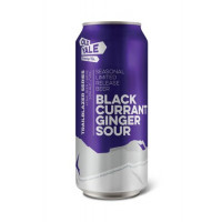 Old Yale Brewing Black Currant Ginger Sour