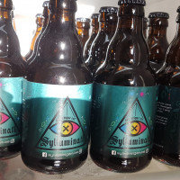 Gulden Spoor Sylluminati