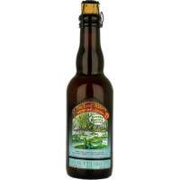 The Lost Abbey Mo' Betta Bretta