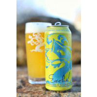 Tree House Brewing Company Eureka (w/ Citra)