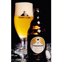 De Kale Ridders (Tumulus) Tumulus Aura (Experiment 5)