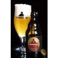 De Kale Ridders (Tumulus) Tumulus 800