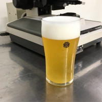 Hop Kotan Brewing White Album