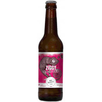 Braukollektiv Freiburg Ziggy #1