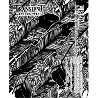 Transient Artisan Ales Flightless