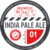 Brewfist Pilot Lab: Ipa 01