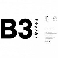 Berging Brouwerij B3 | Tripel