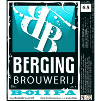 Berging Brouwerij B-01 | IPA