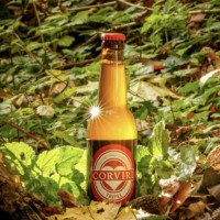 Corviri Brouwerij Tripel