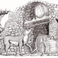 Ca' del Brado Û Baccabianca