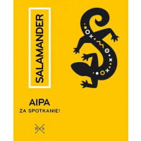 Browar Stu Mostów Salamander AIPA