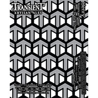 Transient Artisan Ales Henry