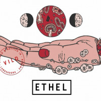 Brekeriet Ethel - Vild