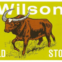 Brouwerij Van Steenberge Wilson Mild Stout
